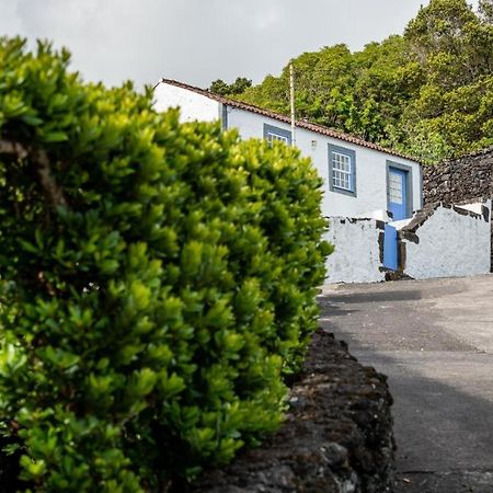 Casa Da Cisterna Villa Sao Joao  Dış mekan fotoğraf