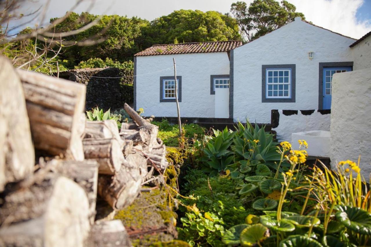 Casa Da Cisterna Villa Sao Joao  Dış mekan fotoğraf